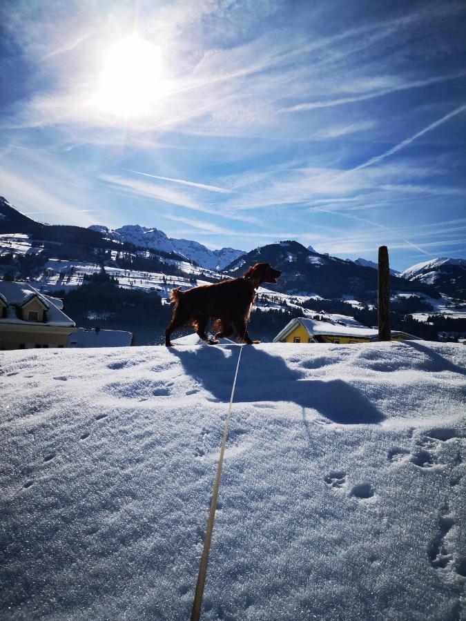 الشقق الفندقية آيشفي  Schneekristall المظهر الخارجي الصورة